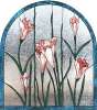 Crocus.jpg